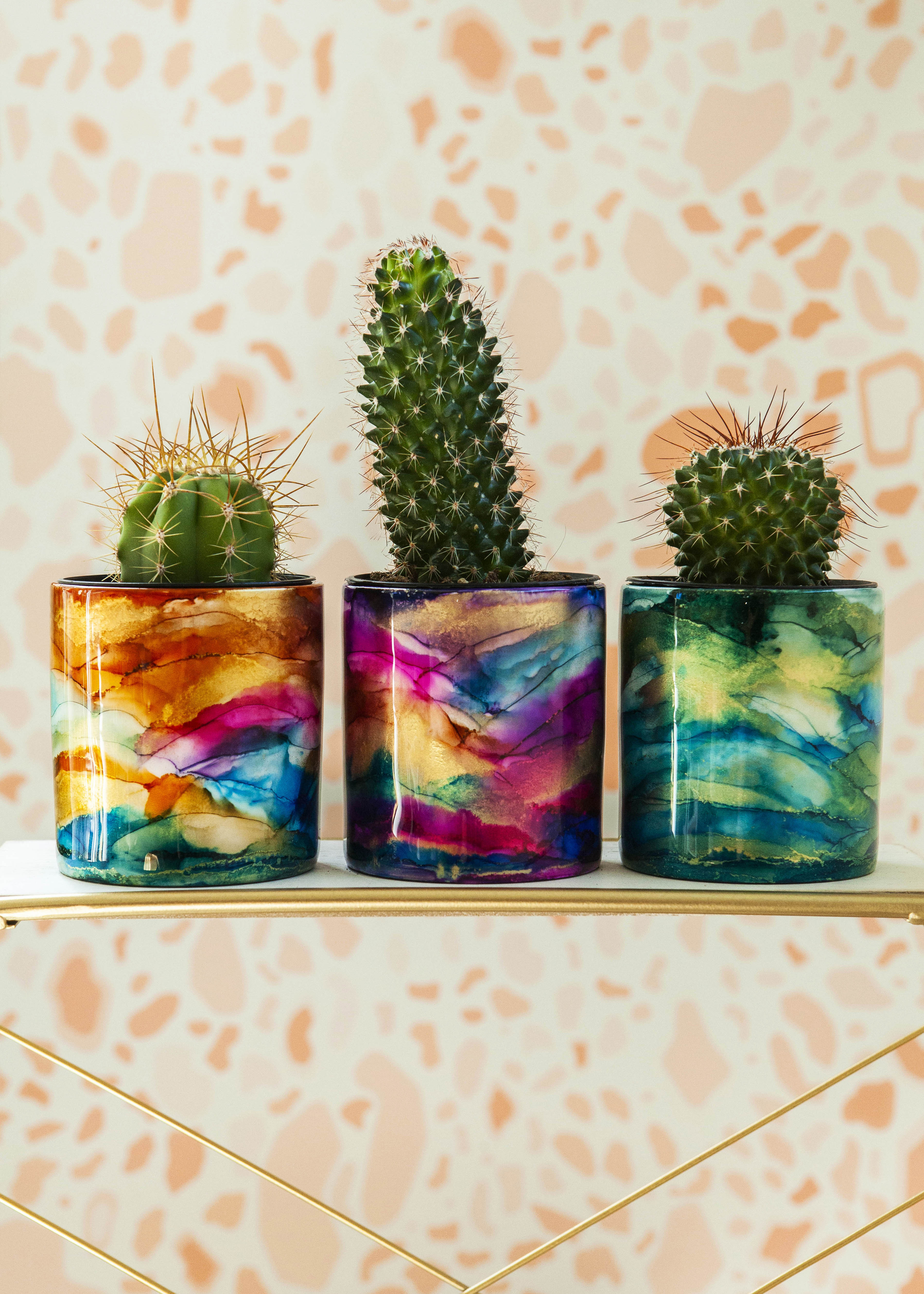 tiny pots for plants Plantaby Mini Pots – plantaby.us
