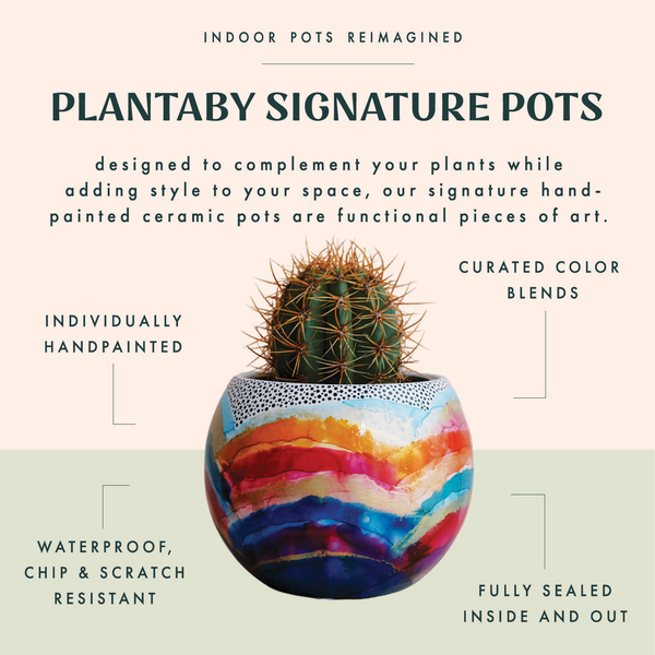Hand Painted Planter No. 4