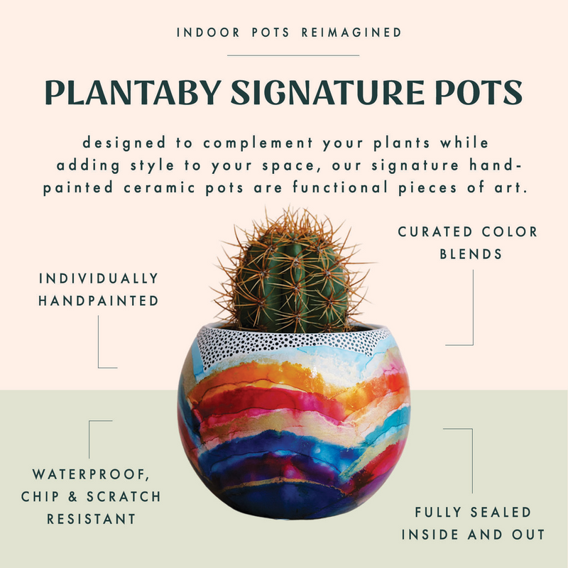 Hand Painted Planter No. 12