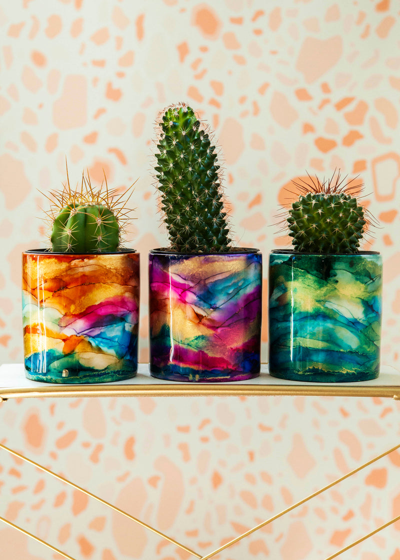 Plantaby Mini Pots